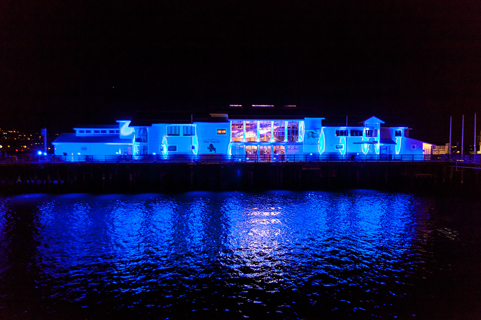 The Sea Center on Stearns Wharf lit up in blue for Light it Blue.