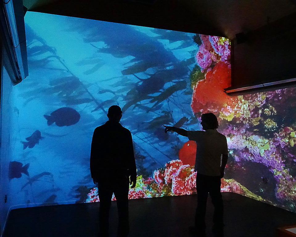 Immersive kelp and coral